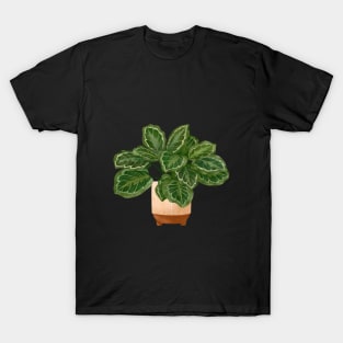 Calathea Medallion- Prayer Plant, Potted Plant Illustration T-Shirt